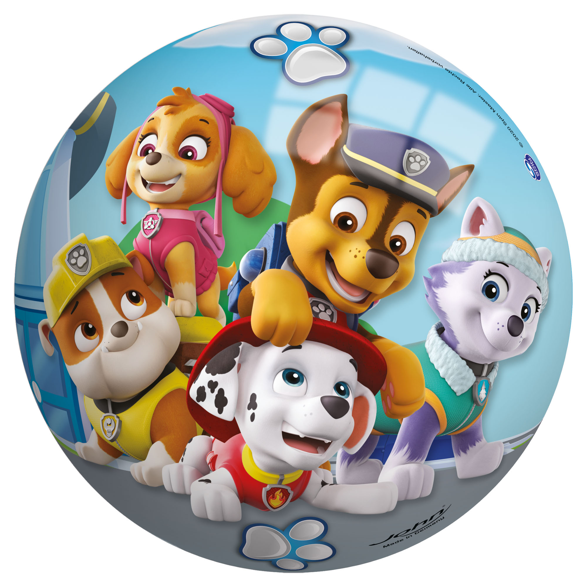 Paw Patrol Lichtgewicht Bal – 13 cm