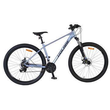 Volare X-Trail MTB – Jongens – 29er – Grijs – 21 speed