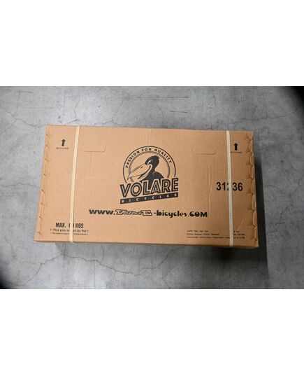 Volare Ashley Kinderfahrrad – Mädchen – 12 Zoll – Grün