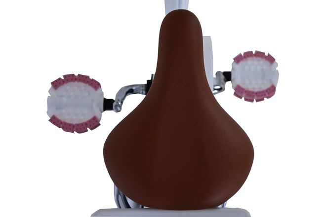 Volare Blossom Kinderfiets - Meisjes - 16 inch - Wit - Twee Handremmen
