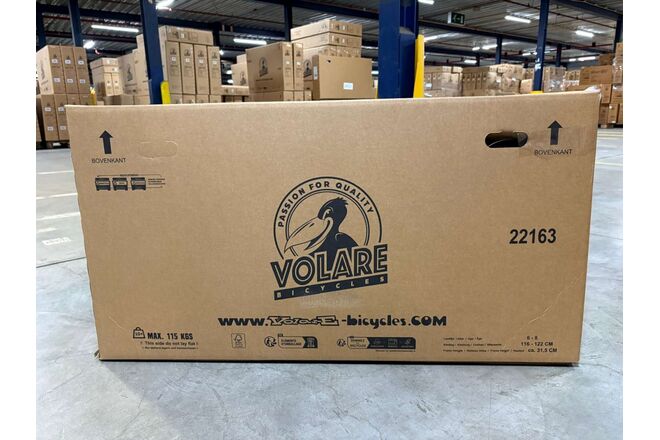 Rower dziecięcy Volare XC Race - 20 cali - Nexus 3 - niebieski/szary