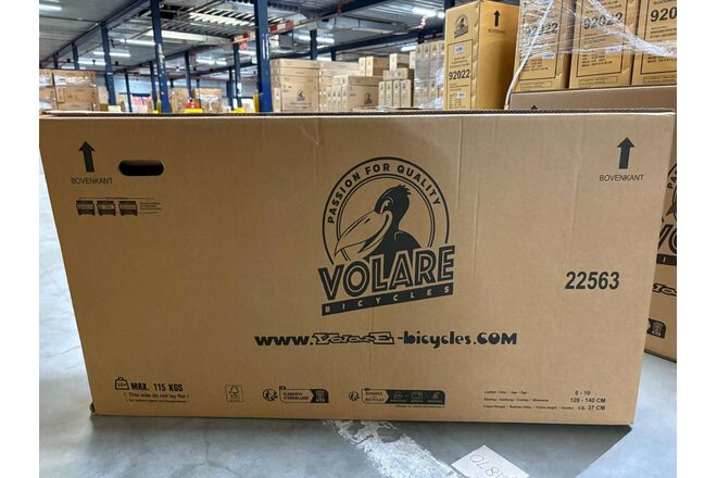 Rower dziecięcy Volare XC Race - 24 cale - Nexus 3 - niebieski/szary