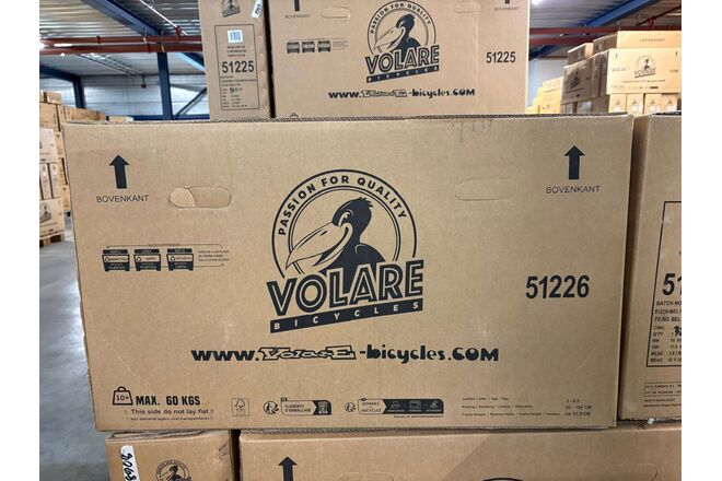 Rower dziecięcy Volare Excellent - dziewczęcy - 12 cali - różowy