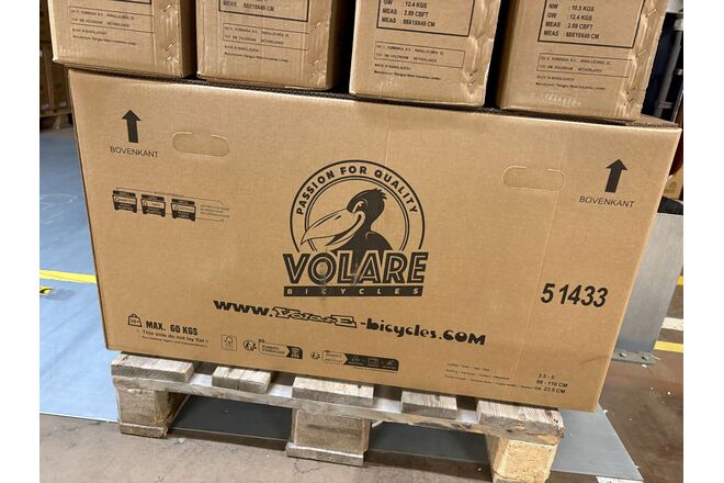 Rower dziecięcy Volare Ashley – dziewczęcy – 14 cali – różowy