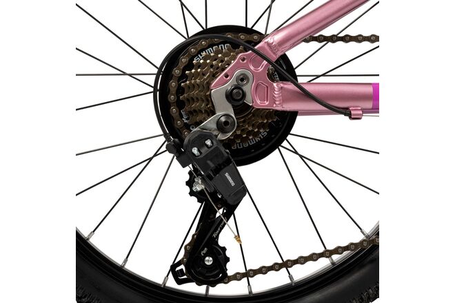 Literide Kinderfiets - Jongens - 20 inch - Paars/Roze - Twee handremmen