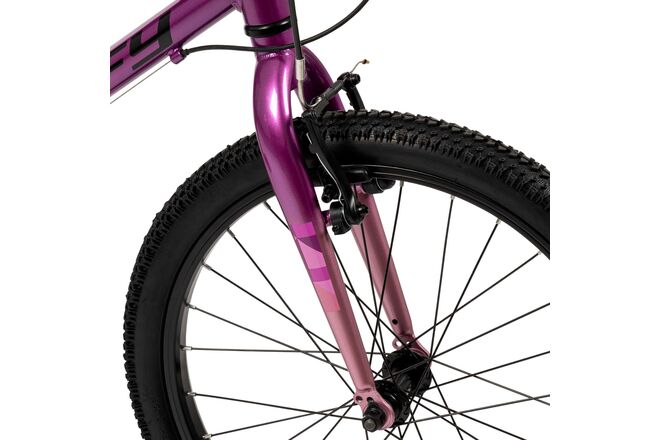 Literide Kinderfiets - Jongens - 20 inch - Paars/Roze - Twee handremmen