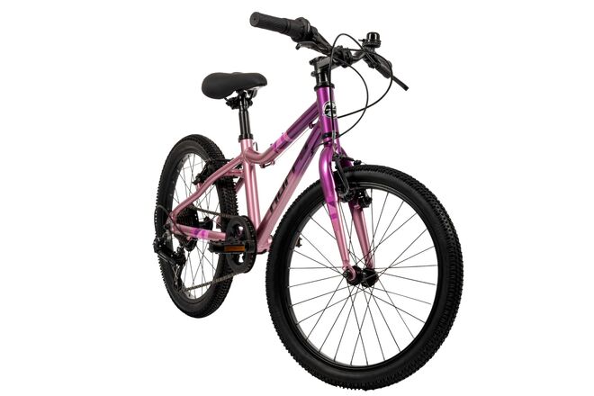 Literide Kinderfiets - Jongens - 20 inch - Paars/Roze - Twee handremmen