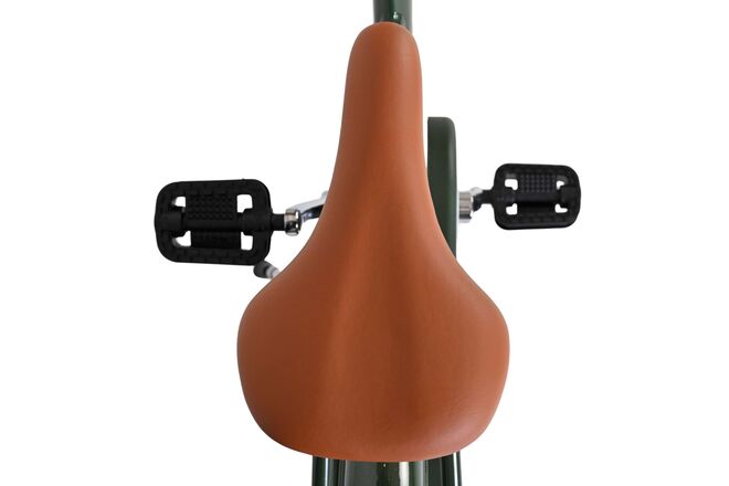 Volare Ashley Kinderfiets - Meisjes - 24 inch - Groen