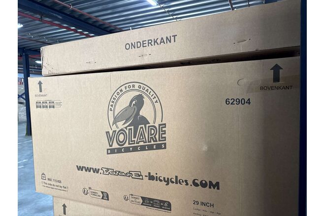 Volare X-Trail MTB - Jongens - 29 inch - M - Grijs - 21 versnellingen