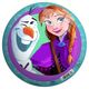 Frozen II lichtgewicht bal
