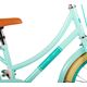 Volare Excellent Kinderfahrrad – Mädchen – 18 Zoll – Grün – 95 % zusammengebaut