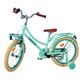 Volare Excellent Kinderfiets - Meisjes - 18 inch - Groen - 95% afgemonteerd