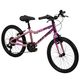 Literide Kinderfiets - Jongens - 20 inch - Paars/Roze - Twee handremmen