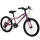 Literide Kinderfiets - Jongens - 20 inch - Paars/Roze - Twee handremmen
