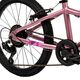 Literide Kinderfiets - Jongens - 20 inch - Paars/Roze - Twee handremmen