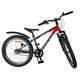 Volare XC Race Kids' Bike - 20 inch - Red Grey - Shimano Nexus 3